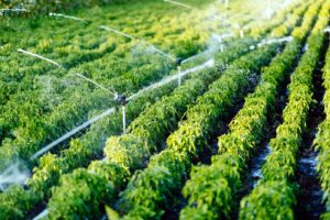 063 The six water technology trends for 2023, according to Idrica