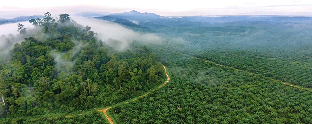 Delivering environmental value – the SI opportunity 