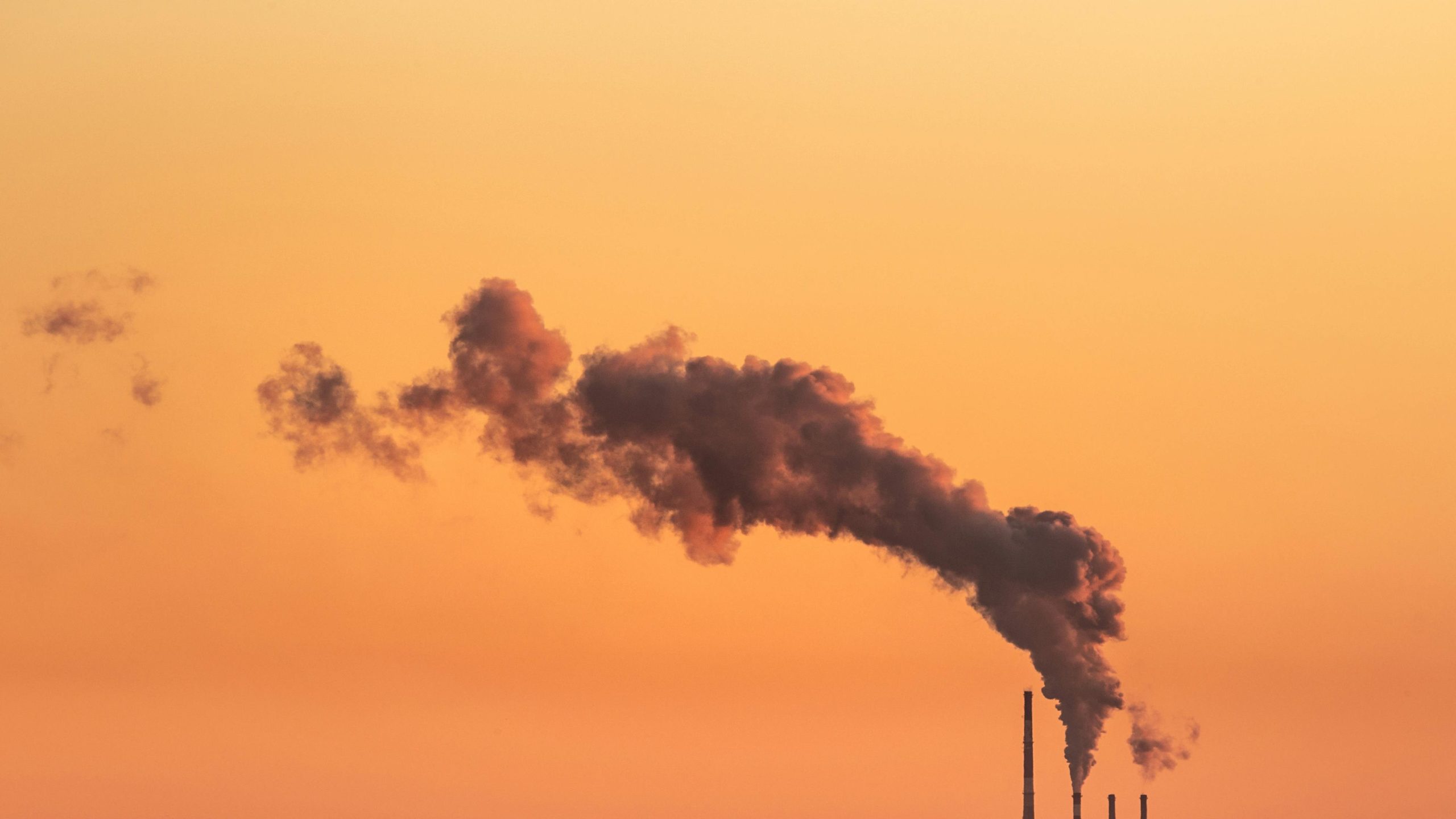 The resistance to renewables