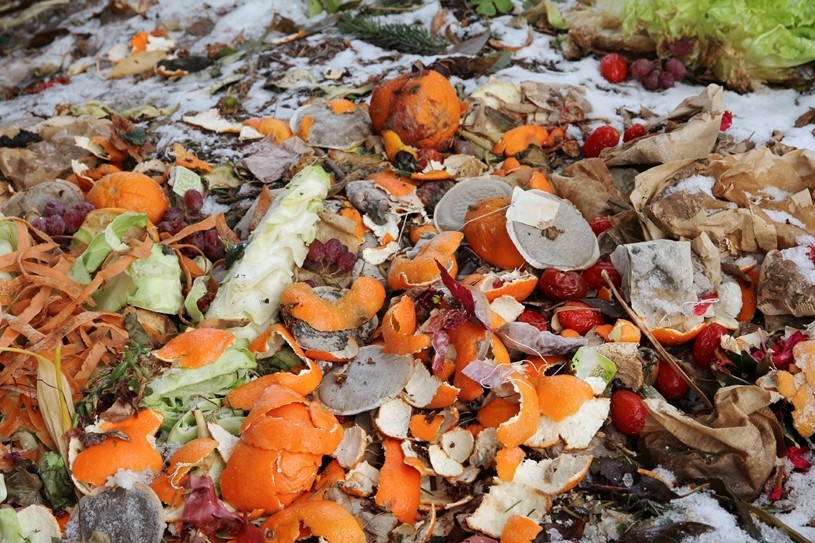 Top tips to reduce food waste during processing