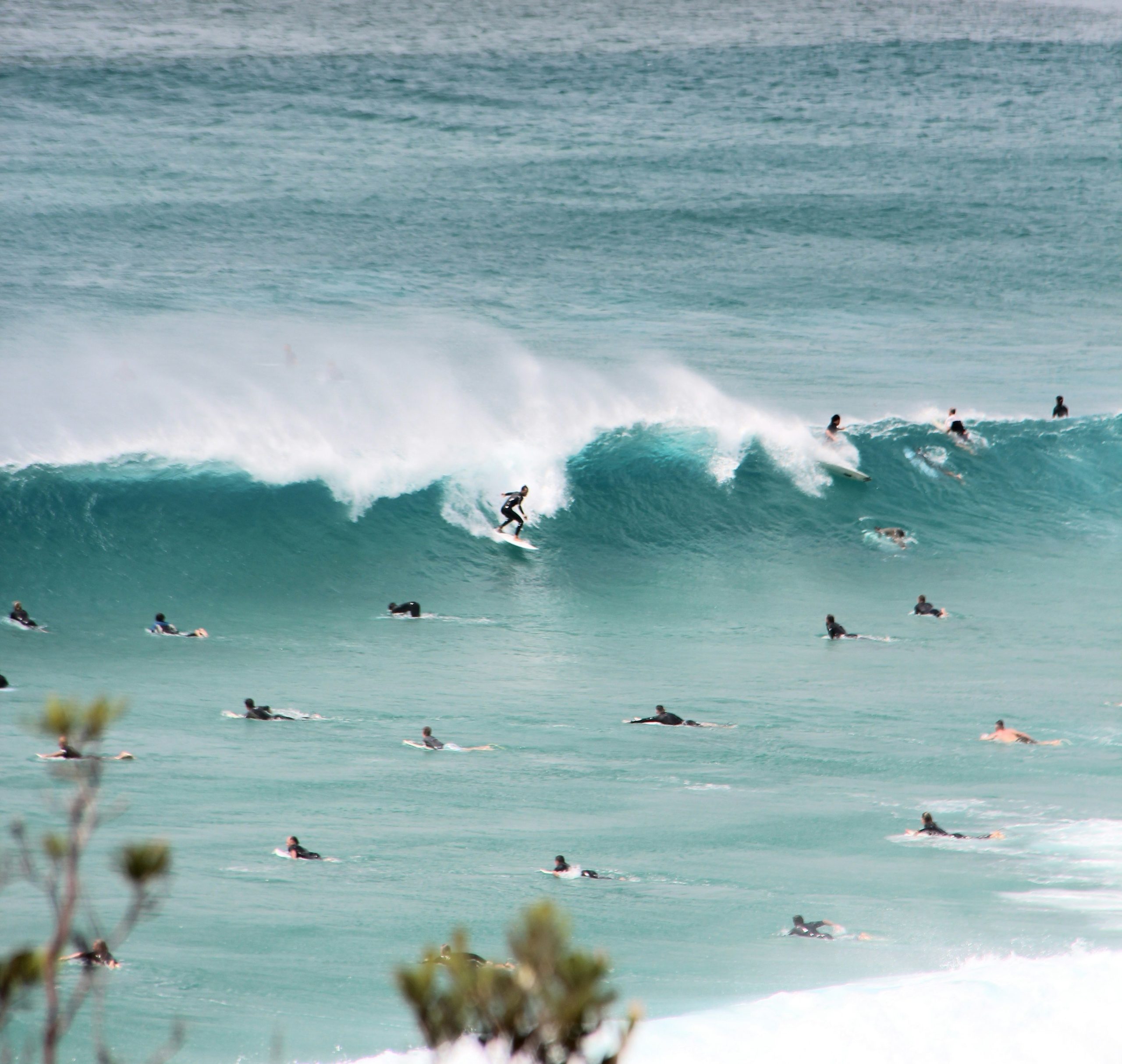 Surf’s up for Landia Chopper Pumps