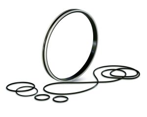 Fusion 938 ko When sealing failure becomes operational risk