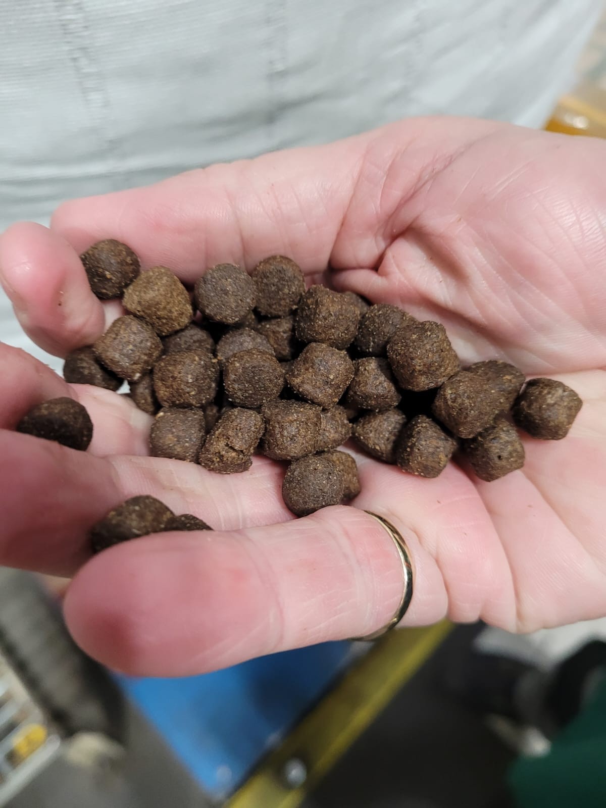 Pet food company makes significant breakthrough in its sustainability efforts