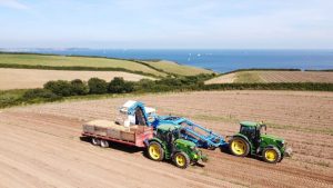 Image 1 15 Automating efficiency in sustainable potato packing
