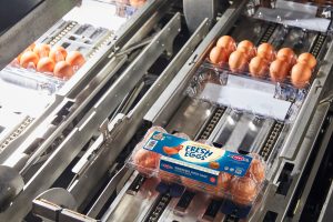 Image1 11 Endoline creates efficiency and productivity gains for Singapore’s largest egg producer