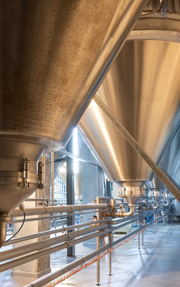 VEGA Level & Pressure at FOODEX 2025: Precision for every food process