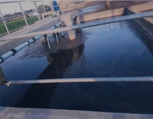 Novoflowremovespollutantsfromwastewater New Micronovo tackles FOG - naturally