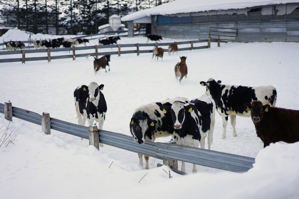 New Landia digester mixing system for farm-based biogas plant in Japan