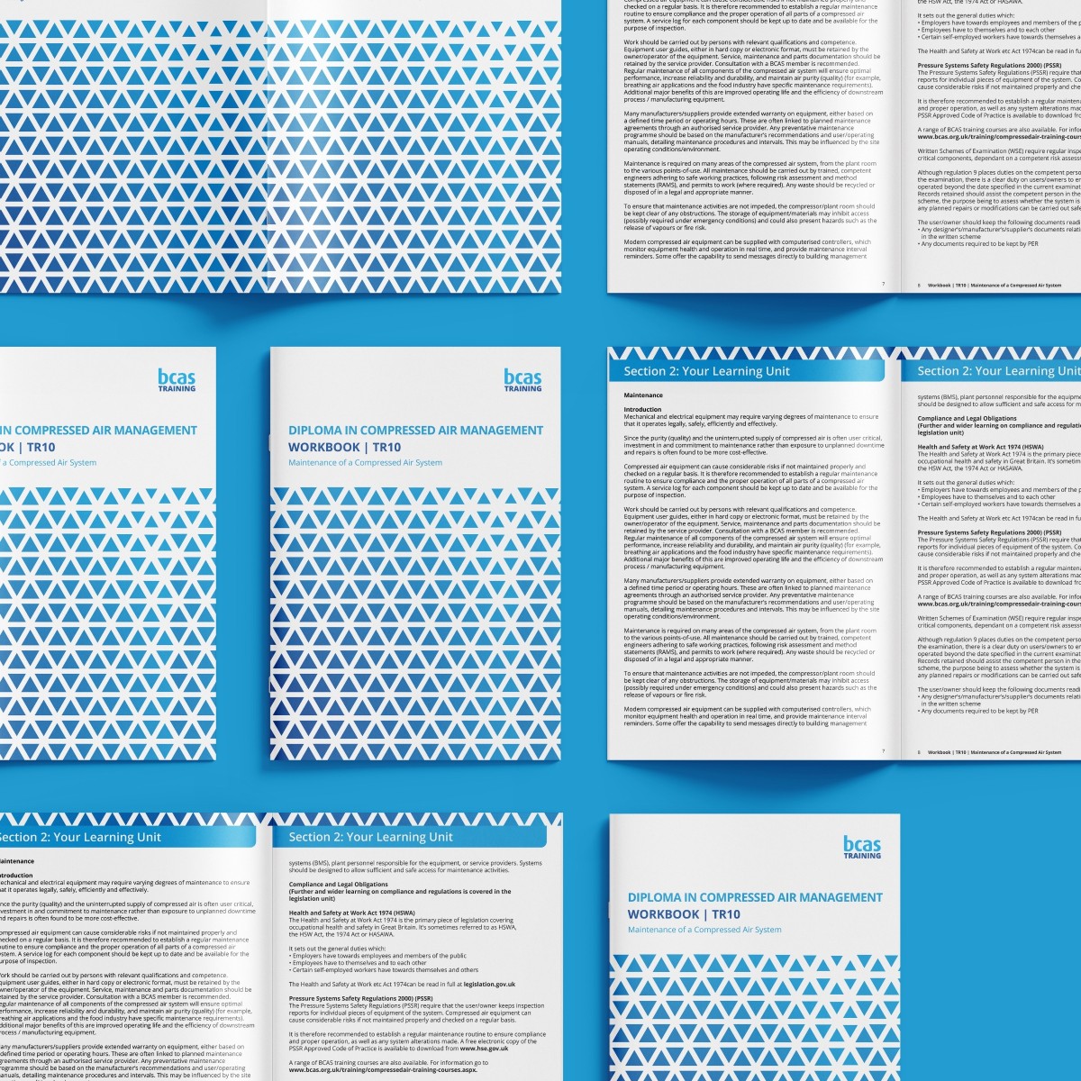 British Compressed Air Society launches new Compressed Air Management certified training programme