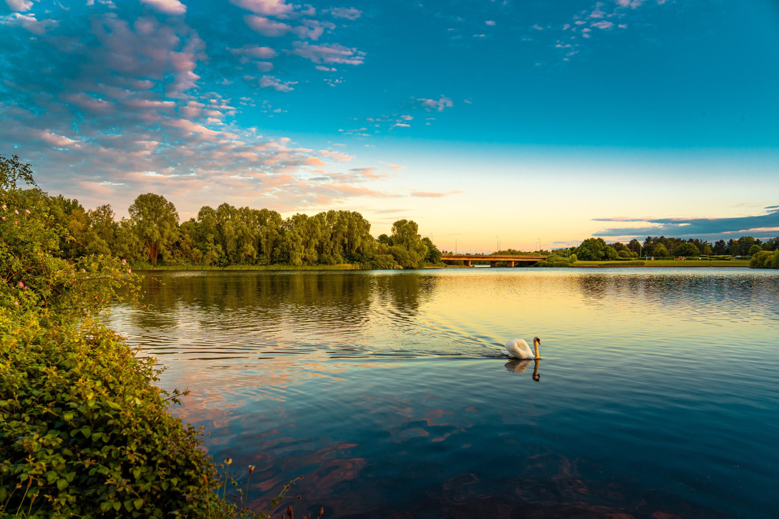 PFAS removal – we already have the technology 