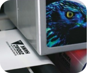 Zodiac Hawk Have you ever experienced buyer's regret?