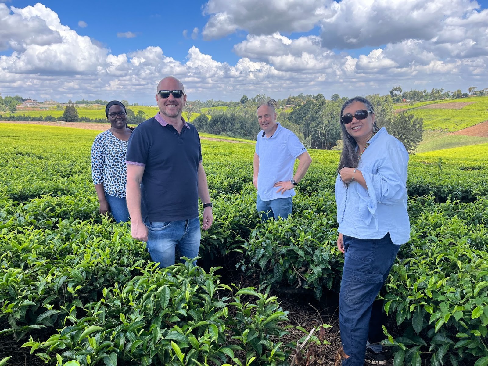 Green tea: UK firm to power Kenya farms with electricity from tea clippings